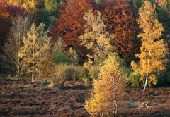 Herbstfarben