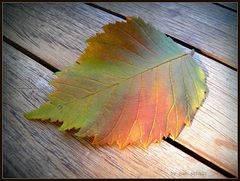 Herbstfarben