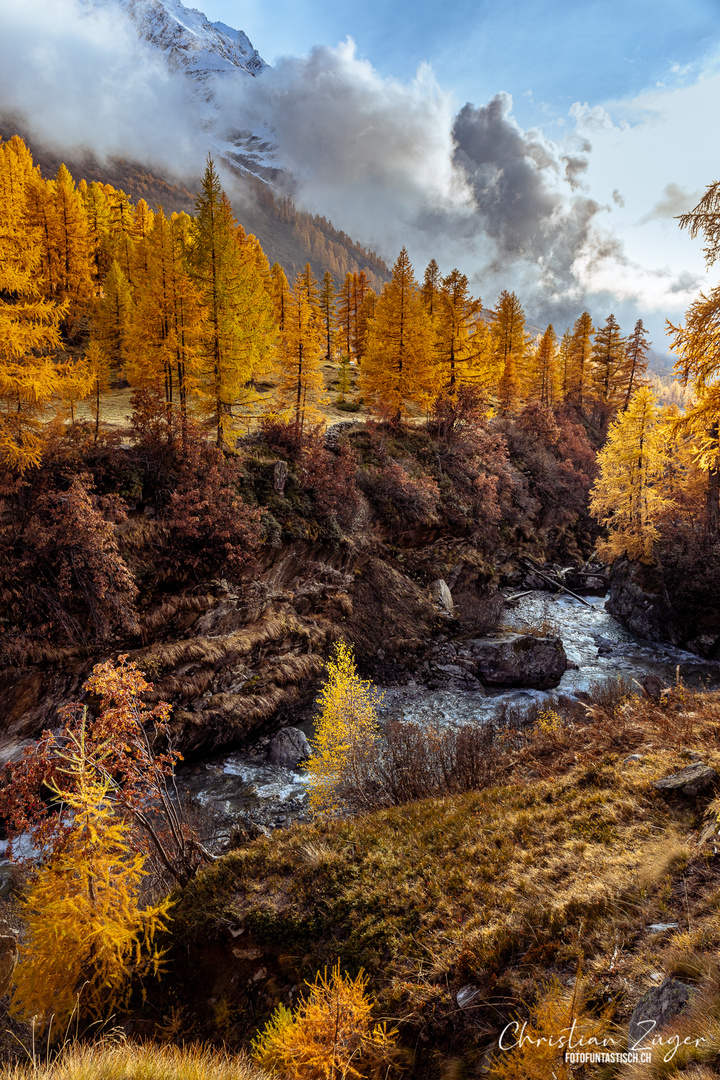 Herbstfarben am Bergbach