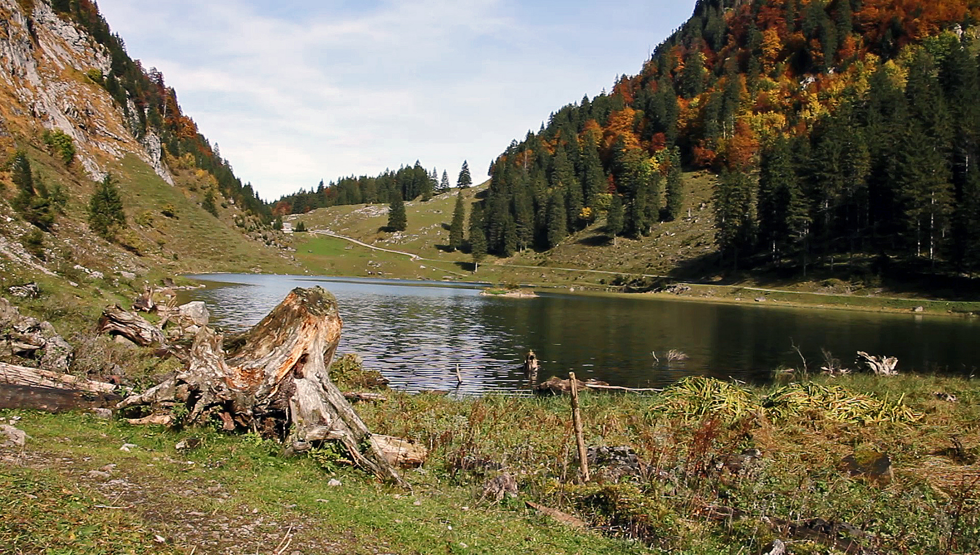 Herbstfarben, am Bergsee