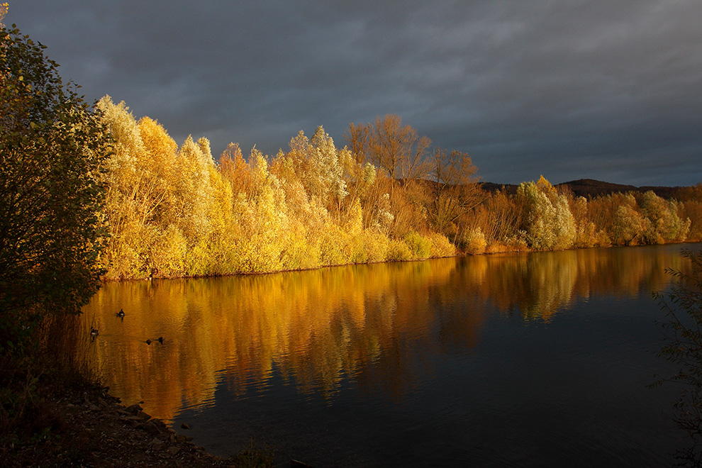 Herbstfarben am Bruchsee