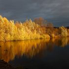 Herbstfarben am Bruchsee