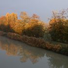 Herbstfarben am Datteln-Hamm-Kanal