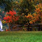 Herbstfarben am Eichfelsen