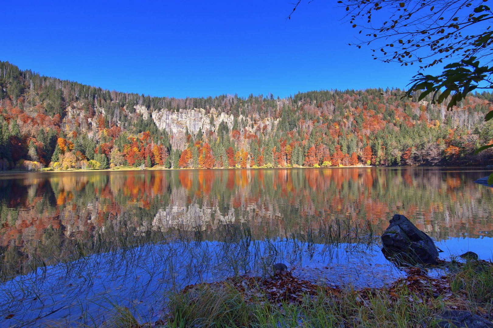 Herbstfarben am Feldsee im Schwarzwald