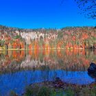 Herbstfarben am Feldsee im Schwarzwald