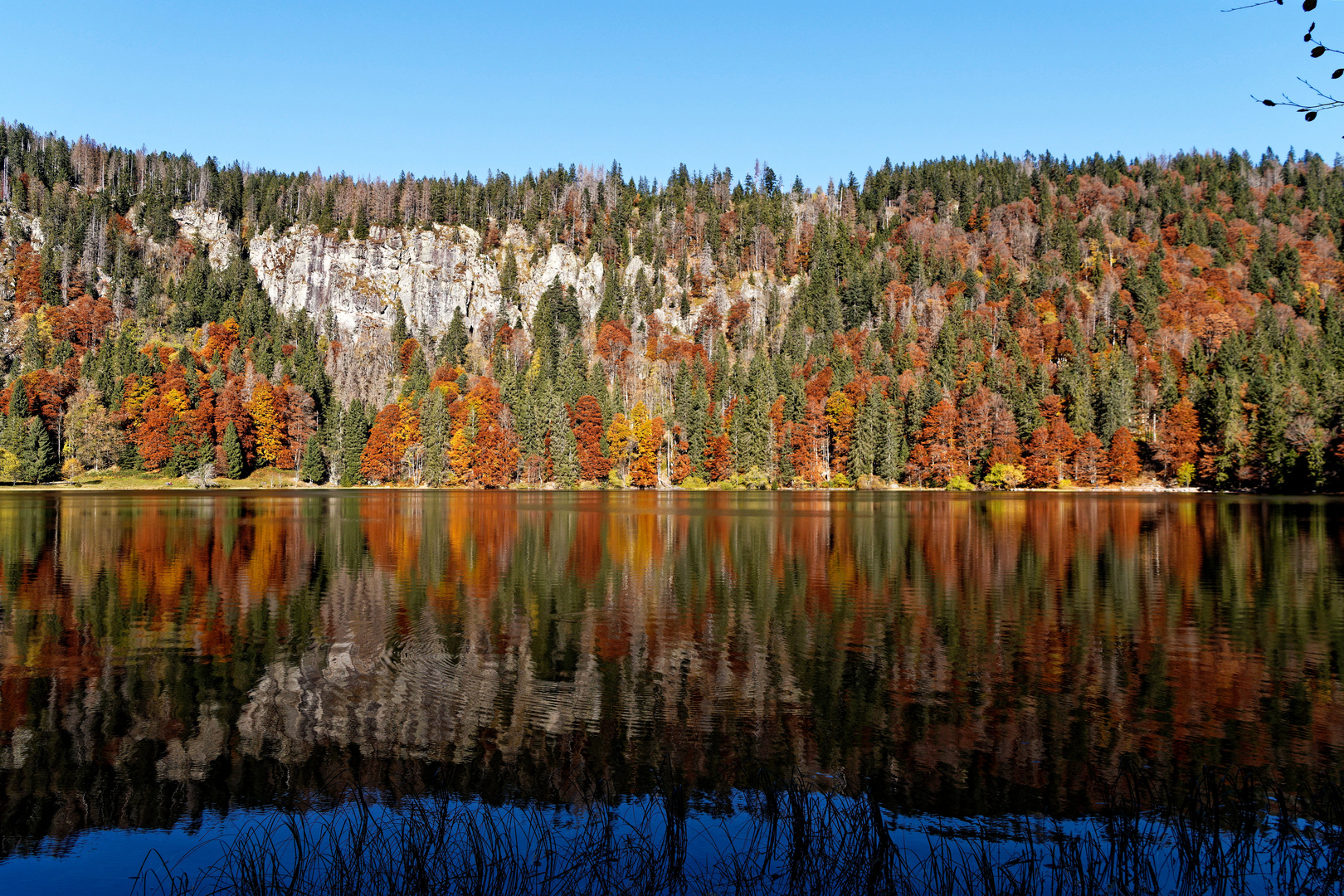 Herbstfarben am Feldsee im Schwarzwald