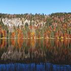 Herbstfarben am Feldsee im Schwarzwald