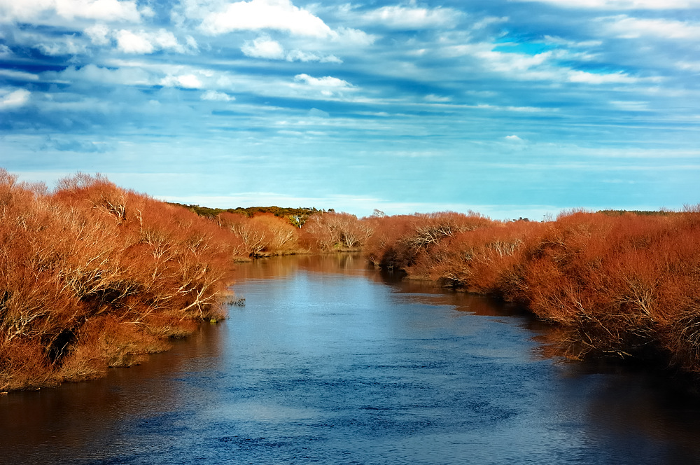 Herbstfarben am Fluss