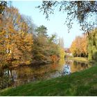 Herbstfarben am Fluss