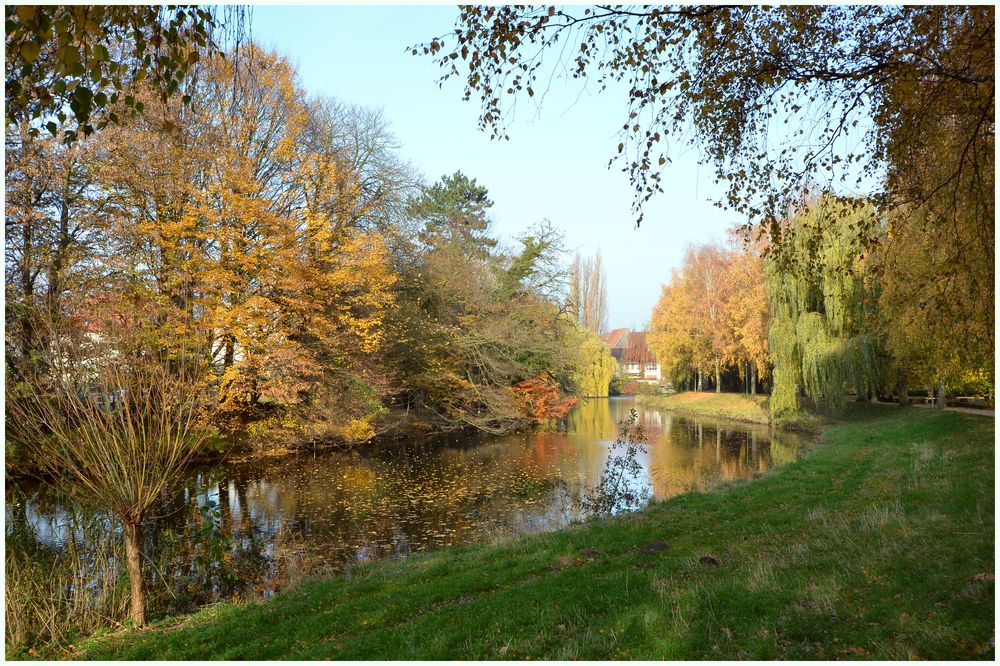 Herbstfarben am Fluss