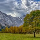 Herbstfarben am Großen Ahornboden