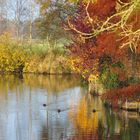 Herbstfarben am Großen Meer