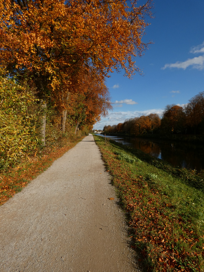 Herbstfarben am Hamm-Datteln-Kanal