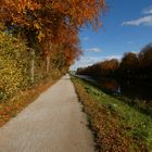 Herbstfarben am Hamm-Datteln-Kanal