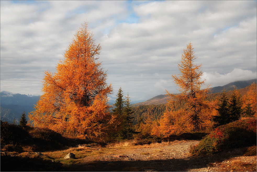 Herbstfarben am Hochstein