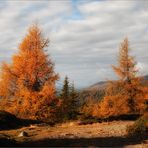 Herbstfarben am Hochstein