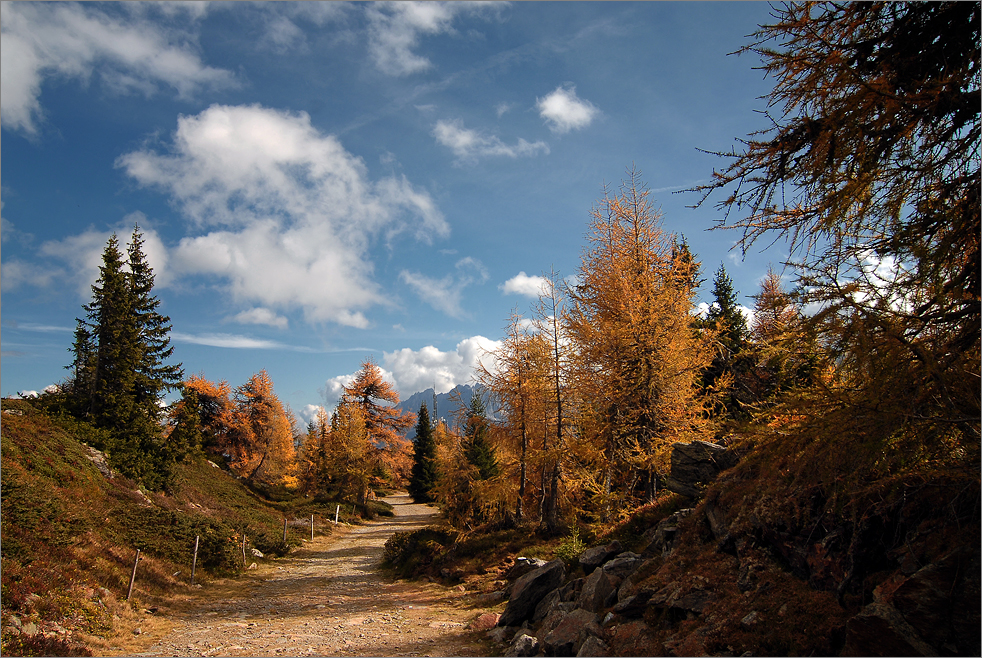 Herbstfarben am Hochstein II