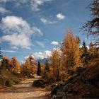 Herbstfarben am Hochstein II