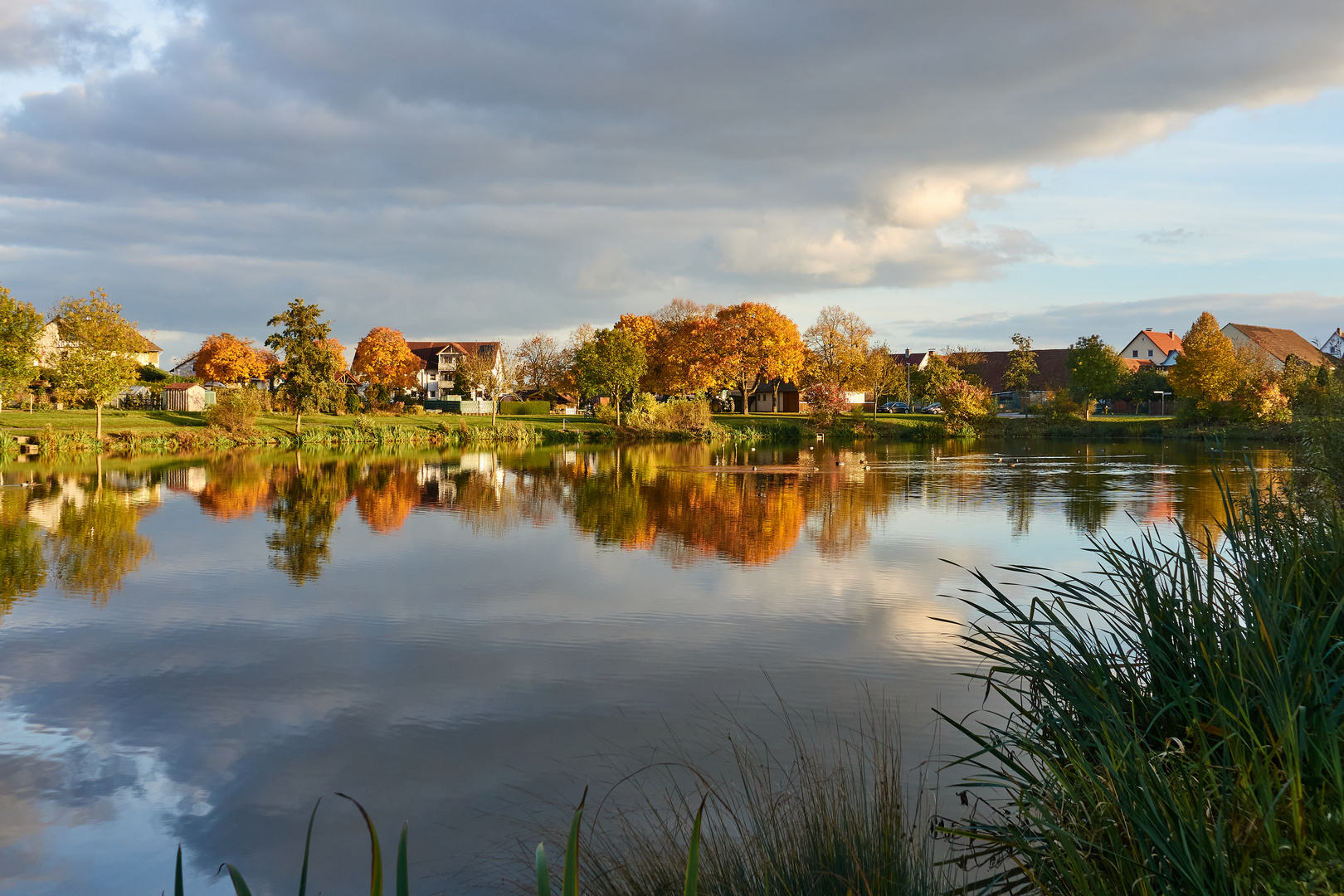 Herbstfarben am Hohenrother See 