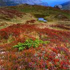 Herbstfarben am Klausenpass