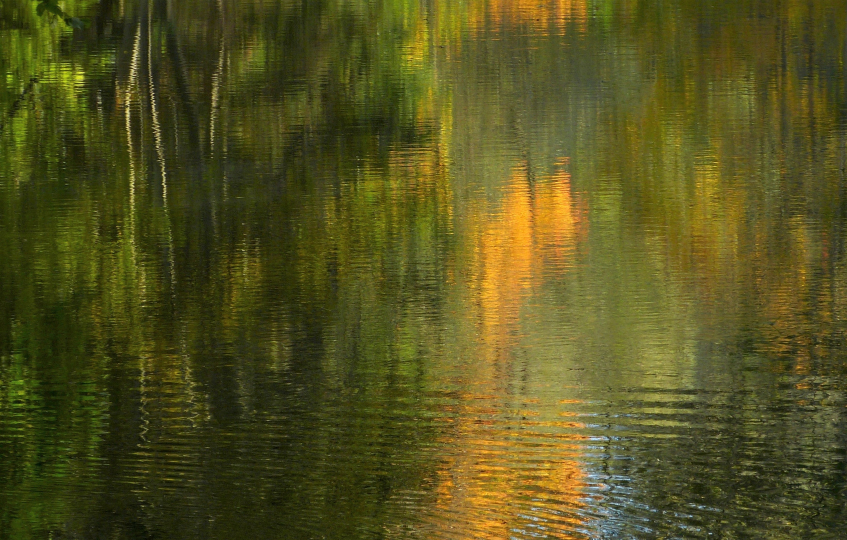 Herbstfarben am kleinen Weiher.