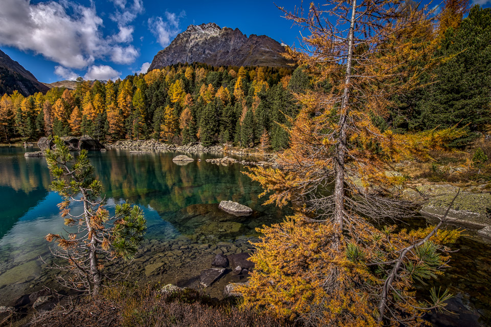 Herbstfarben am Lago di Saoseo