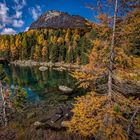 Herbstfarben am Lago di Saoseo