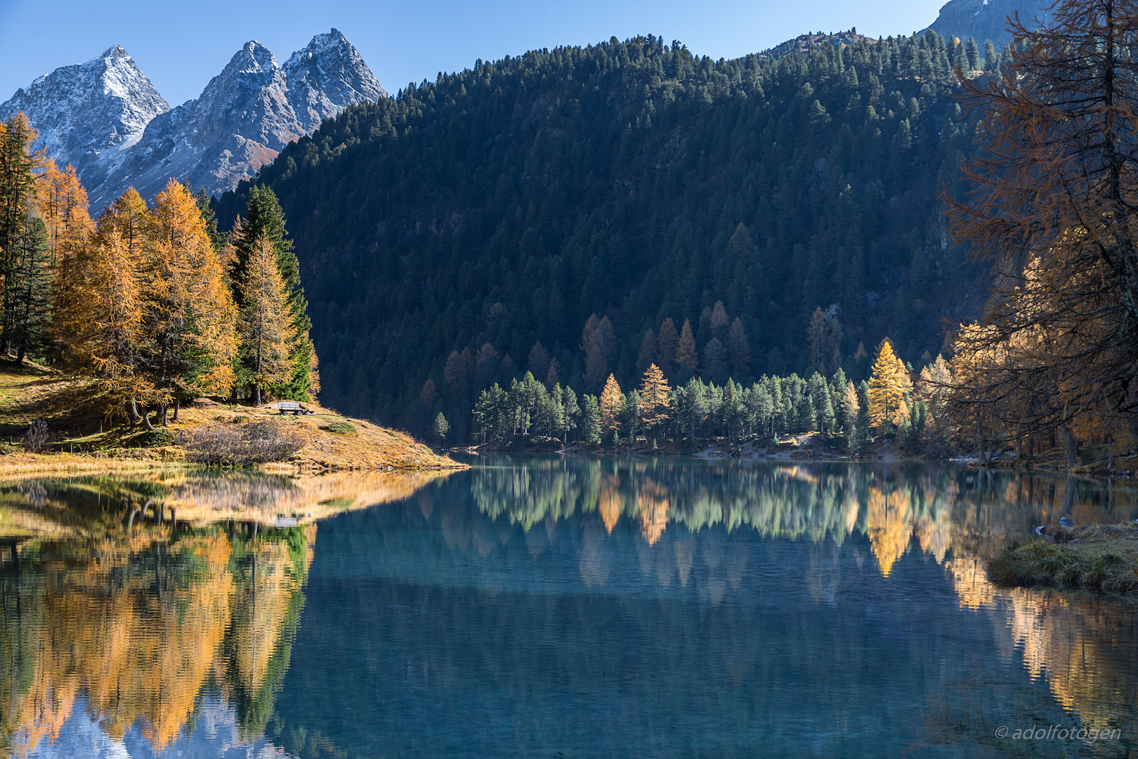 Herbstfarben am Lai da Palpuegna