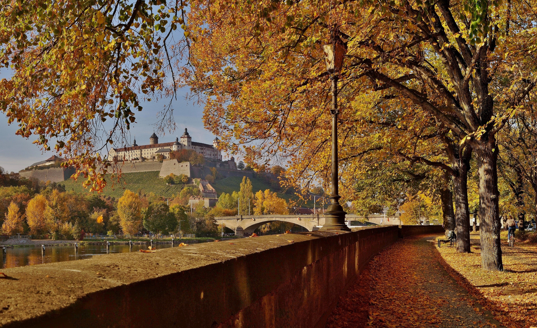 Herbstfarben am Main.