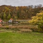 Herbstfarben am Main