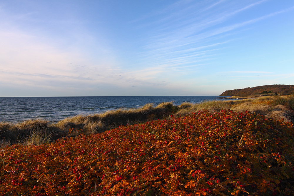 Herbstfarben am Meer