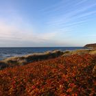 Herbstfarben am Meer