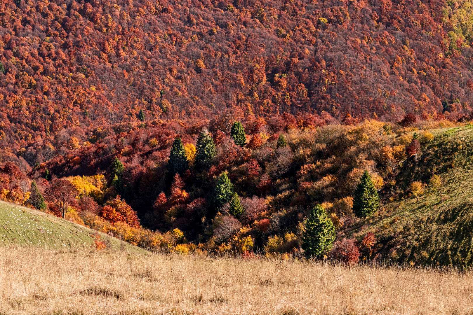 Herbstfarben am Monte Baldo