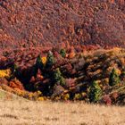 Herbstfarben am Monte Baldo