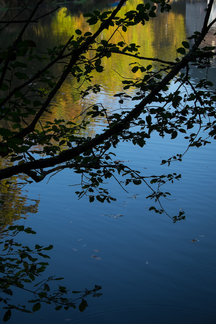 Herbstfarben am Morgen