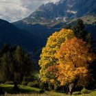 Herbstfarben am Pronebenalm, Mühlbach