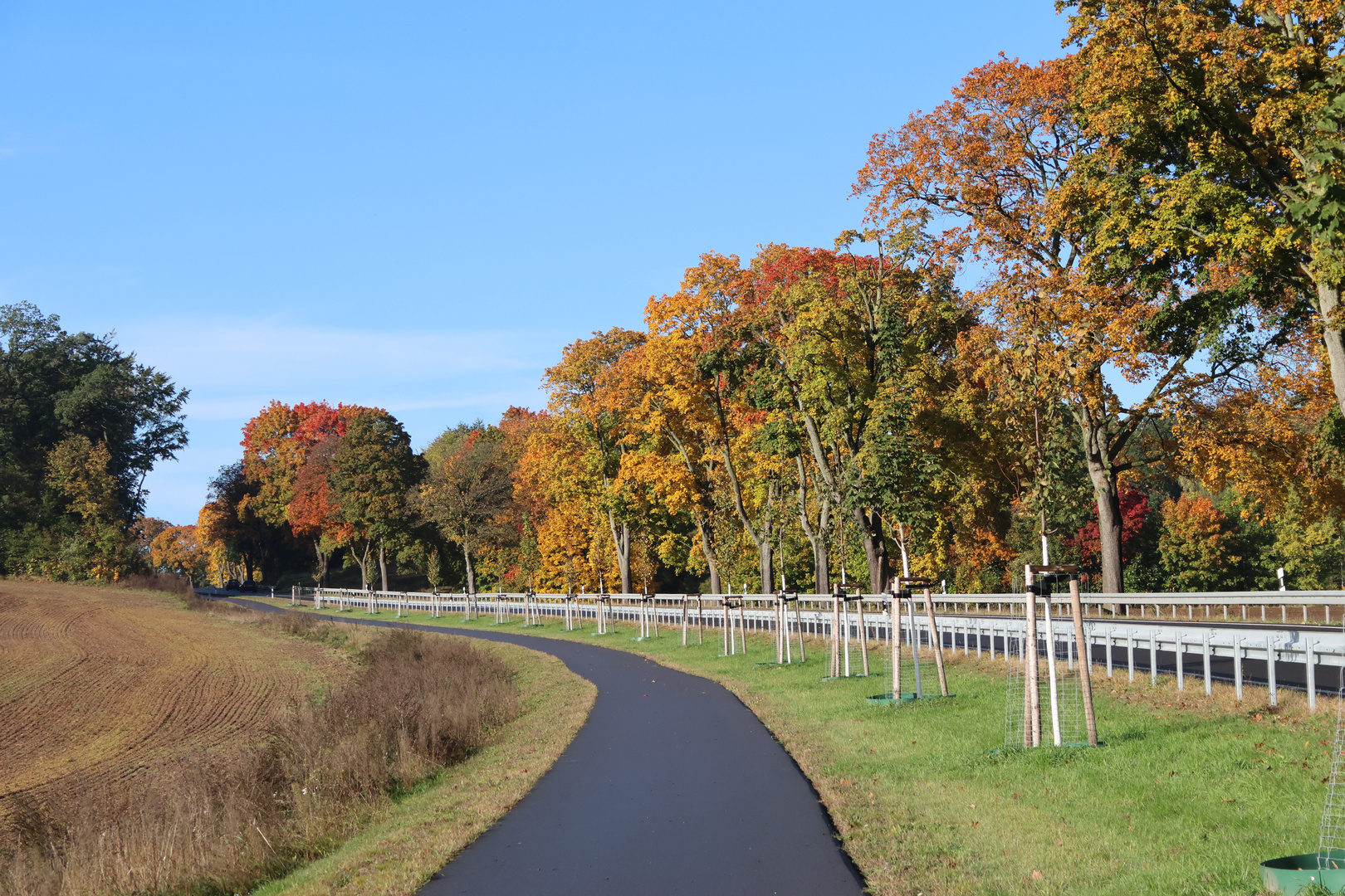 Herbstfarben am Radweg