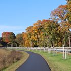Herbstfarben am Radweg