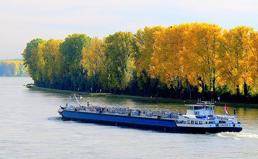 Herbstfarben am Rhein