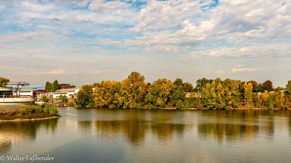 Herbstfarben am Rhein bei D. Dorf