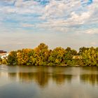 Herbstfarben am Rhein bei D. Dorf