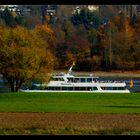 ~Herbstfarben am Rhein~