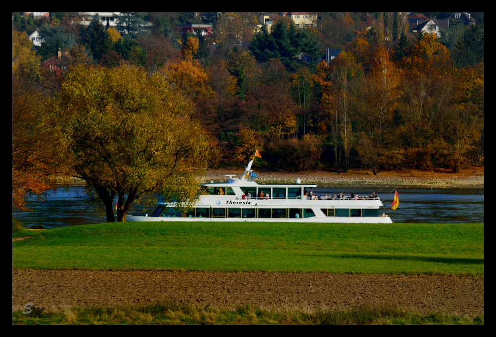 ~Herbstfarben am Rhein~