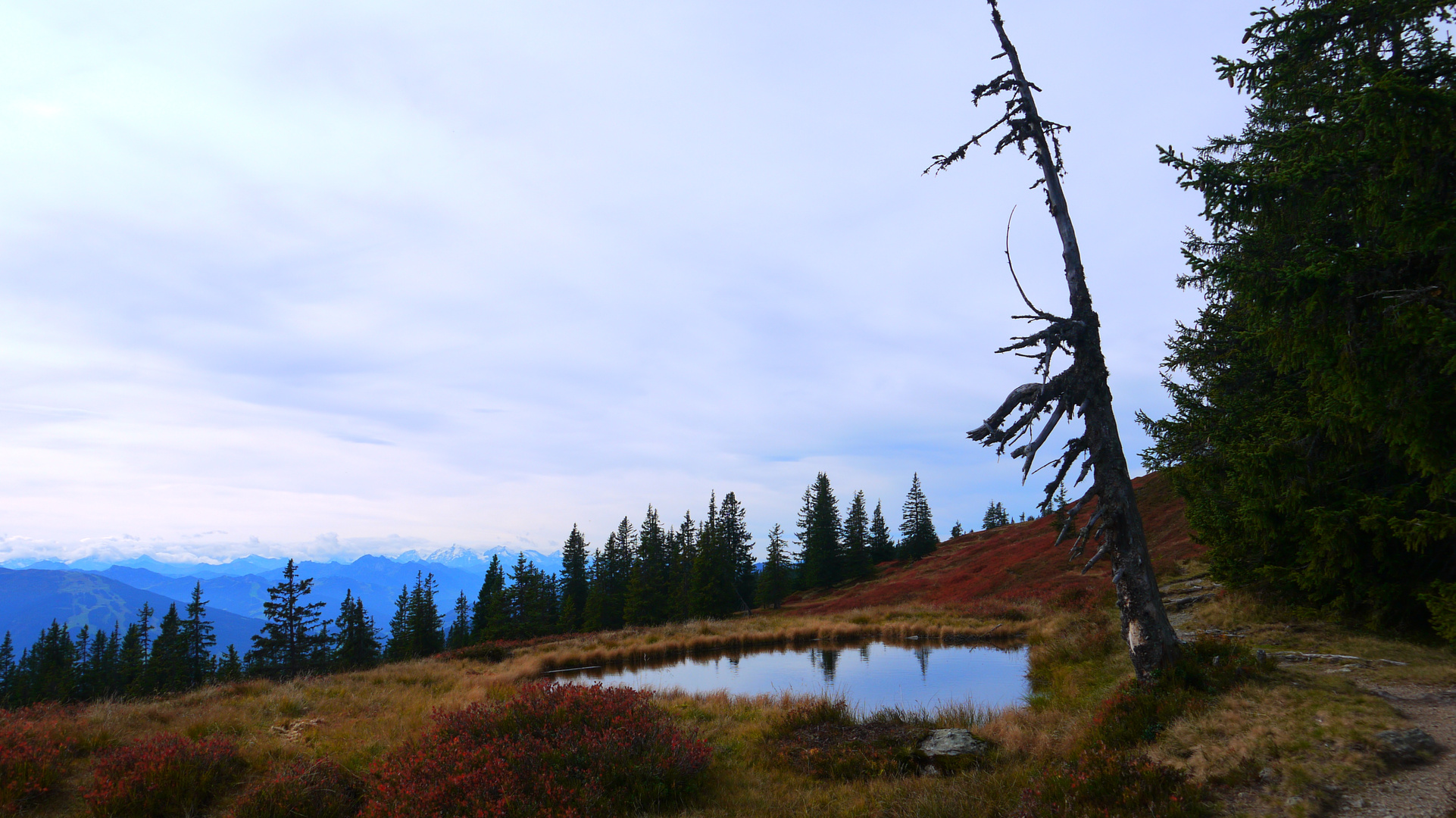 Herbstfarben am Rossbrand