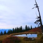 Herbstfarben am Rossbrand