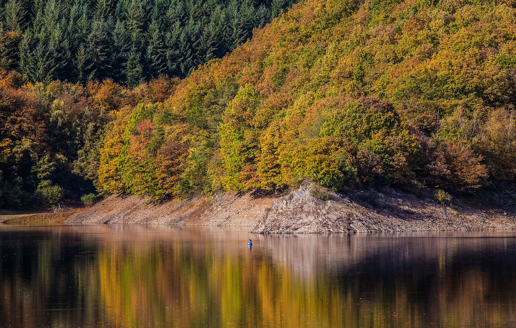 Herbstfarben am Rur-Stausee