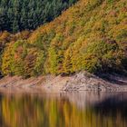 Herbstfarben am Rur-Stausee