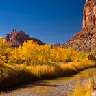 Herbstfarben am San Rafael River