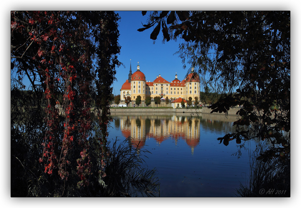 Herbstfarben am Schloss Moritzburg